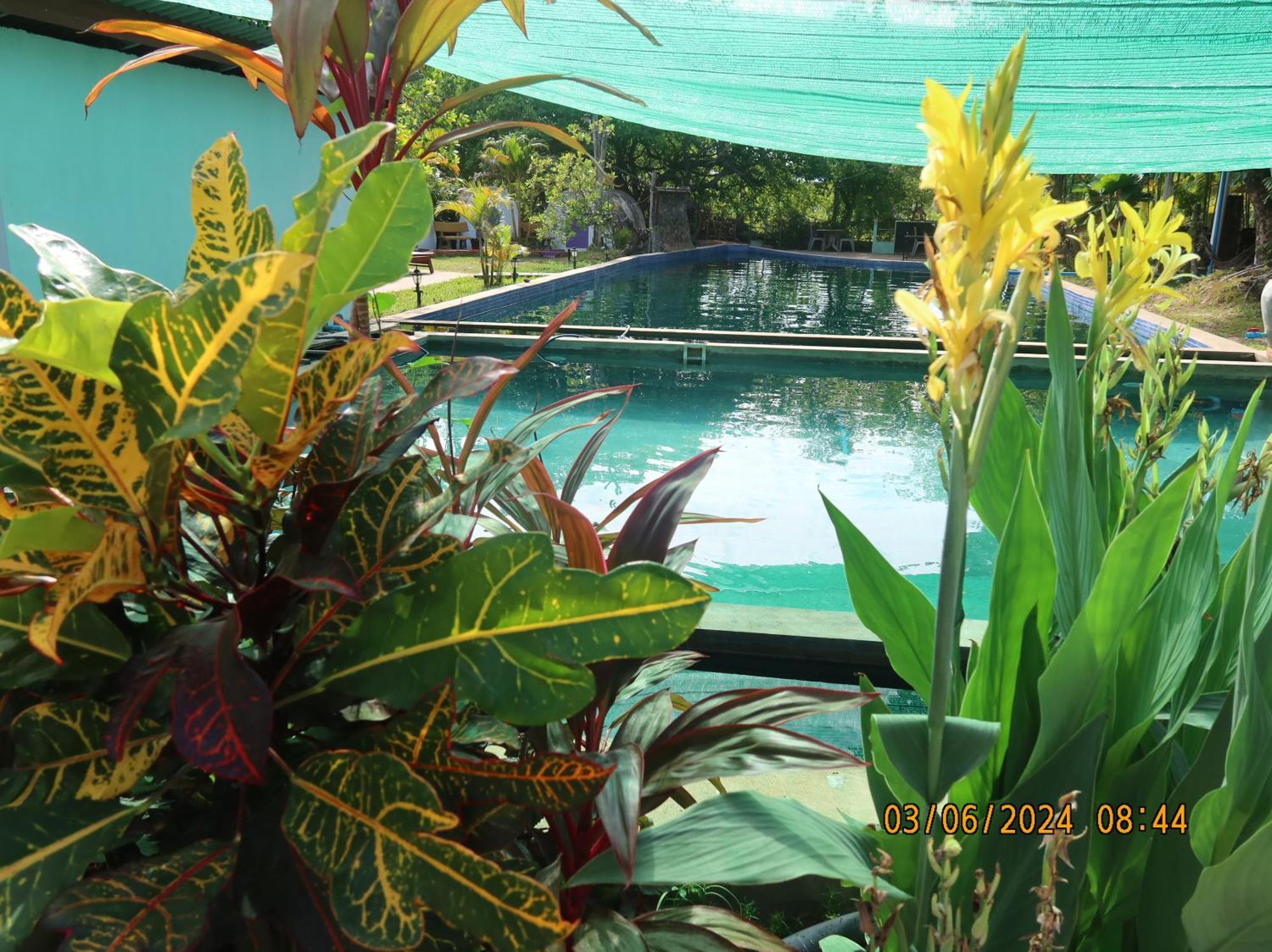 Bohemiaz Resort And Spa カンポット エクステリア 写真